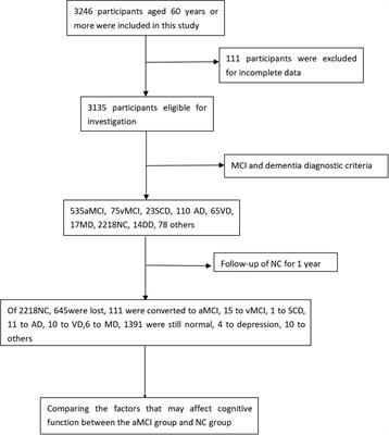 Prevalence, Incidence, Influence Factors, and Cognitive Characteristics of Amnestic Mild Cognitive Impairment Among Older Adult: A 1-Year Follow-Up Study in China